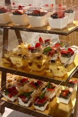 IMG-20251119-WA0024